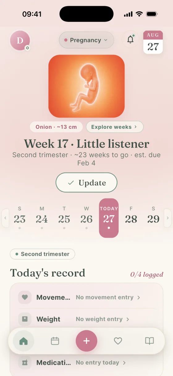 Dela Pregnancy weekly view with a developmental illustration, estimated week 17, a February 4 due date and personal logging options.